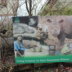 Wildlife Canyon- Sumatran Rhino Exhibit
