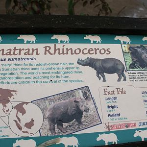 Wildlife Canyon- Sumatran Rhino Exhibit