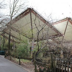 Wildlife Canyon- Sumatran Rhino Exhibit