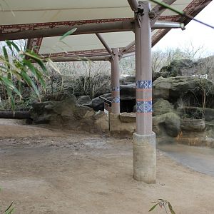 Wildlife Canyon- Sumatran Rhino Exhibit