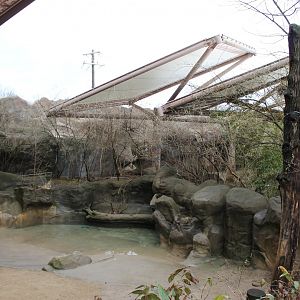 Wildlife Canyon- Sumatran Rhino Exhibit