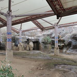 Wildlife Canyon- Sumatran Rhino Exhibit