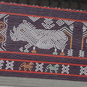 Wildlife Canyon- Sumatran Rhino Exhibit