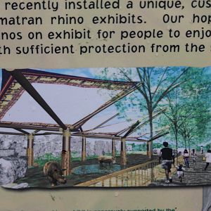 Wildlife Canyon- Sumatran Rhino Exhibit