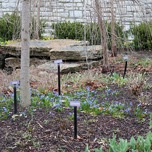 Reptile House Garden