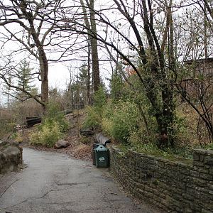 African Veldt/Wolf Woods Pathway