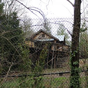 African Veldt/Wolf Woods- Mexican Gray Wolf Exhibit