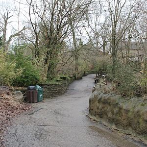 African Veldt/Wolf Woods Pathway