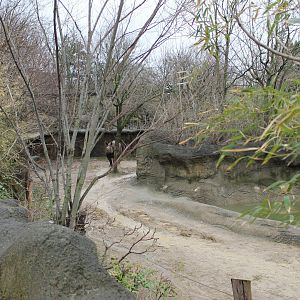 African Veldt- Indian Rhino Exhibit