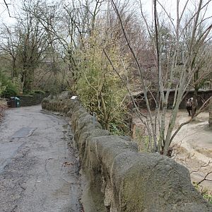 African Vedlt/Wolf Woods- Indian Rhino Exhibit & Pathway