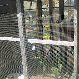 Økologiens Have - Parrot aviary (outdoor)