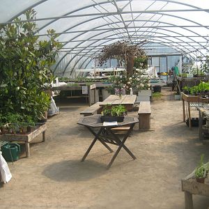 Økologiens Have - Greenhouse
