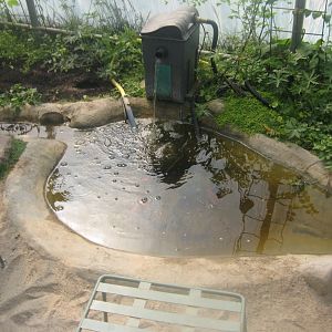 Økologiens Have - Greenhouse - Goldfish pond