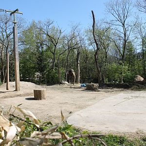 Vanishing Giants/Elephant Reserve- Asian Elephant Exhibit