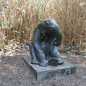 Asian Elephant Calf Statue