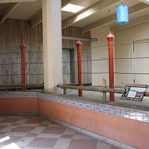 Vanishing Giants/Elephant Reserve- Elephant House Indoor Viewing