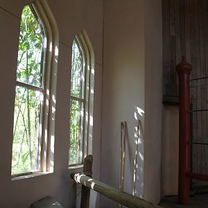 Vanishing Giants/Elephant Reserve- Elephant House Indoor Viewing