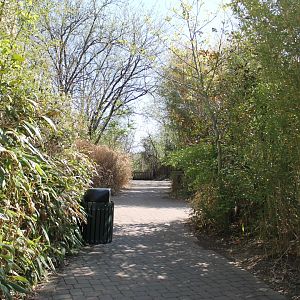 Vanishing Giants/Elephant Reserve Pathway