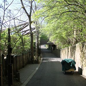 Wildlife Canyon- Sumatran Rhino Exhibit