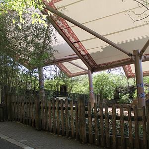 Wildlife Canyon- Sumatran Rhino Exhibit
