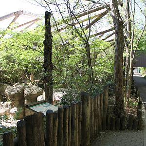 Wildlife Canyon- Sumatran Rhino Exhibit