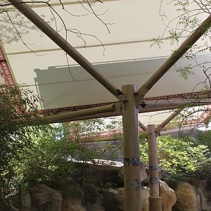 Wildlife Canyon- Sumatran Rhino Exhibit