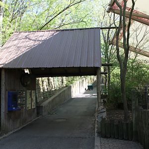 Wildlife Canyon- Sumatran Rhino Exhibit