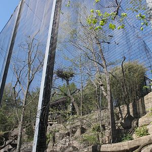 Wildlife Canyon/Eagle Eyrie- Steller's Sea Eagle Exhibit