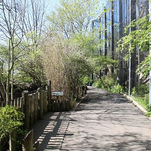 Wildlife Canyon/Eagle Eyrie Pathway