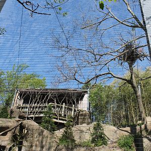Wildlife Canyon/Eagle Eyrie- Steller's Sea Eagle Exhibit