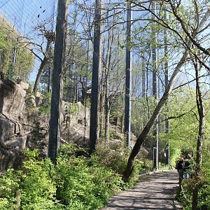 Wildlife Canyon/Eagle Eyrie- Steller's Sea Eagle Exhibit