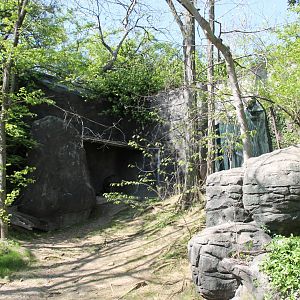 Wildlife Canyon- Emu Exhibit
