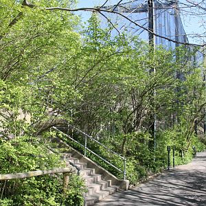 Wildlife Canyon/Eagle Eyrie Pathway & Staircase