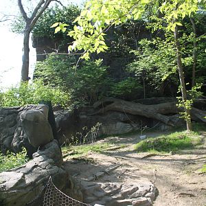Wildlife Canyon- Emu Exhibit
