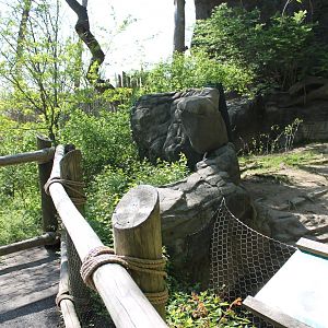 Wildlife Canyon- Emu Exhibit