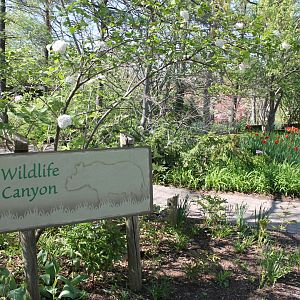 Wildlife Canyon Entrance & Garden