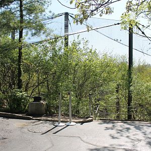 Wildlife Canyon/Eagle Eyrie Staircase Entrance