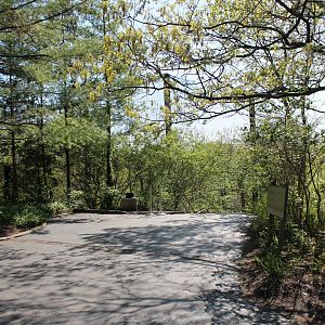 Wildlife Canyon/Eagle Eyrie Staircase Entrance