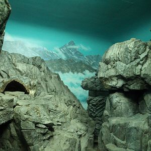 Night Hunters/Cat House- Pallas' Cat Exhibit