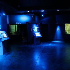 Night Hunters/Cat House Rotunda