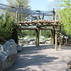 Cat Canyon/Night Hunters- Cougar Exhibit