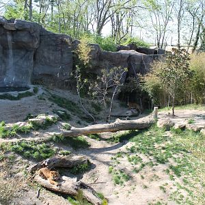 Cat Canyon- Malayan Tiger Exhibit