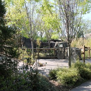 Cat Canyon Pathway & Tiger Viewing
