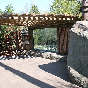 Cat Canyon- Snow Leopard Viewing