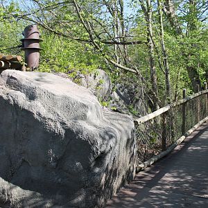 Cat Canyon- Snow Leopard Viewing & Pathway