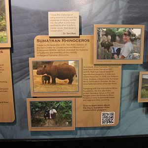 Passenger Pigeon Memorial- Endangered Species Signage