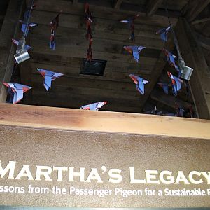 Passenger Pigeon Memorial