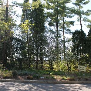 Butterfly Garden