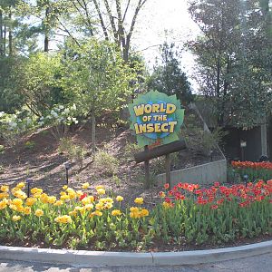World of the Insect Entrance & Butterfly Garden
