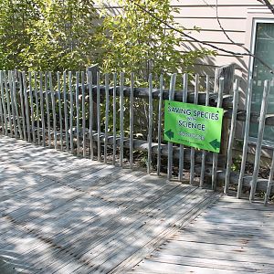 Pathway to CREW, Hospital, & Wellness Plaza